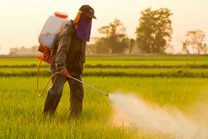 Pesticide intermédiaire